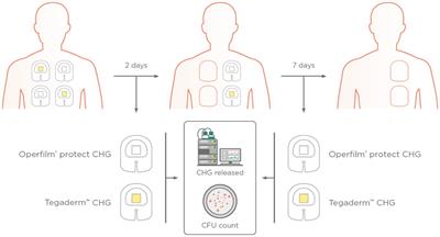 Randomized controlled trial on healthy volunteers of pharmacokinetic and antimicrobial activity of a novel hydrogel-containing chlorhexidine dressing to prevent catheter-related bloodstream infection